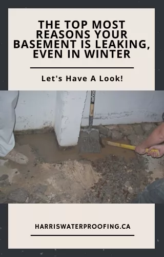 The Top Most Reasons Your Basement Is Leaking, Even In Winter