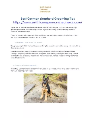 Buy German Shepherd Puppy