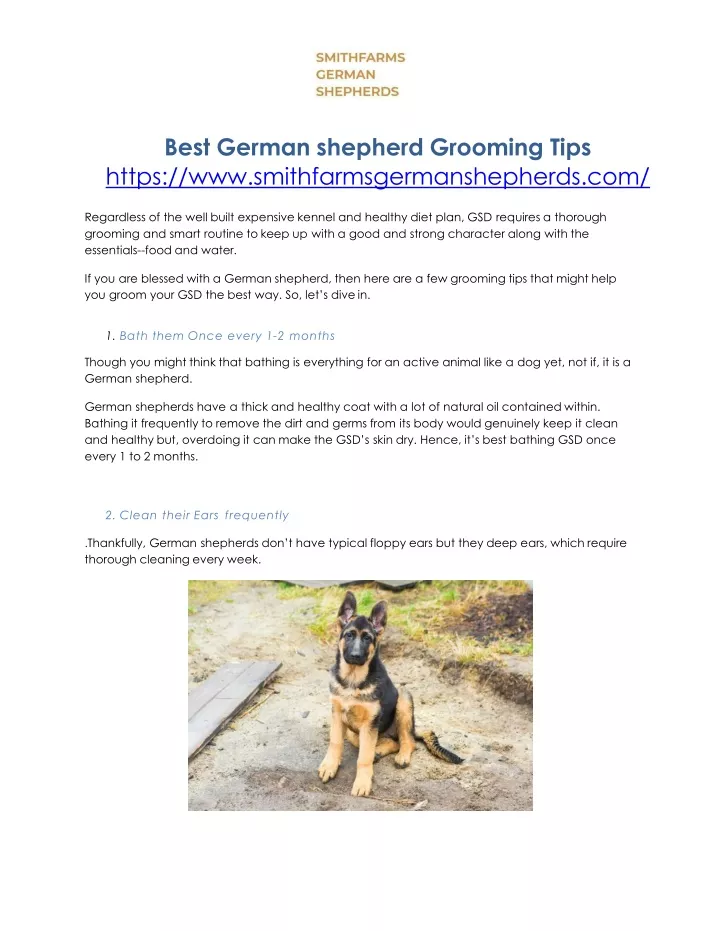 best german shepherd grooming tips https