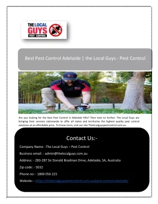 Cheap Spider Pest Control Adelaide | The Local Guys - Pest Control