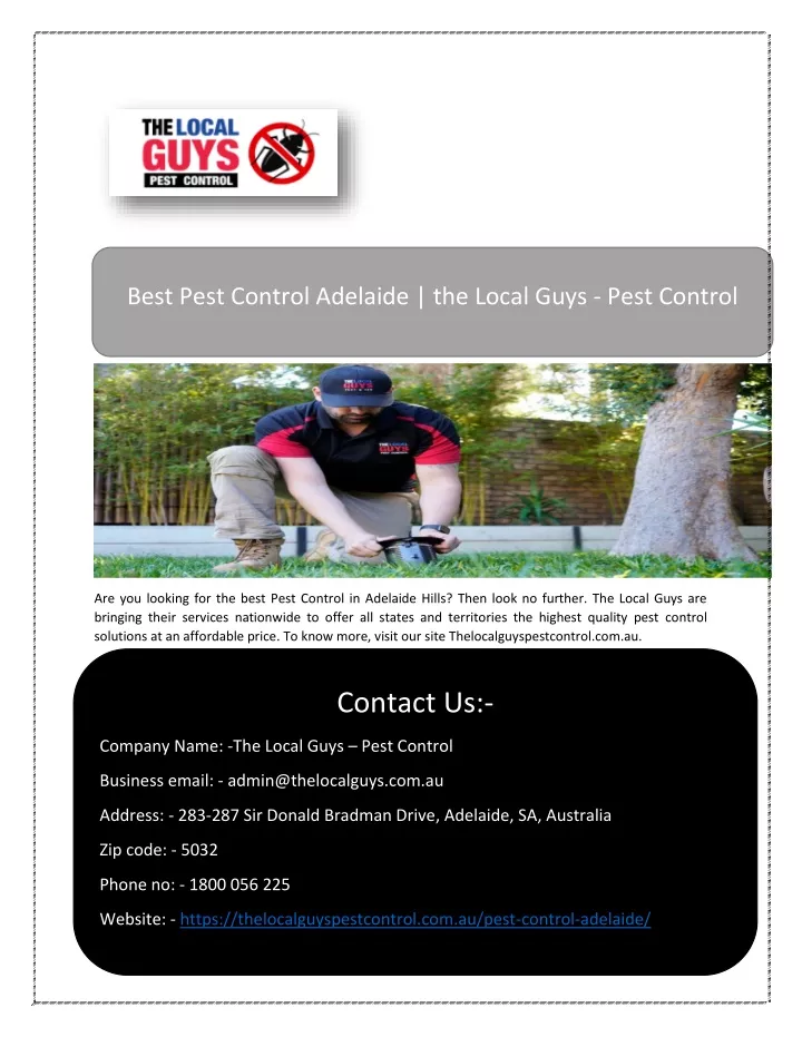 best pest control adelaide the local guys pest