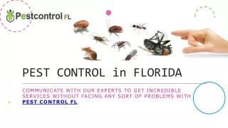 pest control in florida