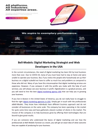 Bell-Models: Digital Marketing Strategist and Web Developers in the USA