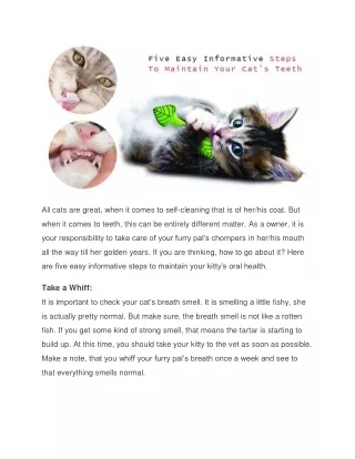 all cats are great when it comes to self cleaning