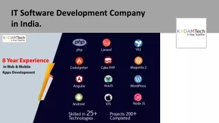 it software development company in india