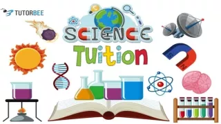 Why Science Tuition in Singapore Important