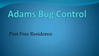 Adams Bug Control