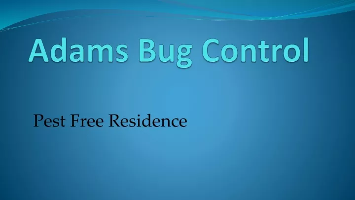 adams bug control