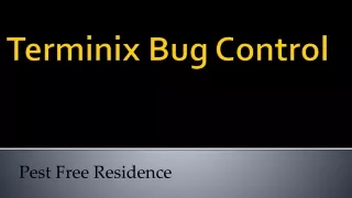 Terminix Bug Control