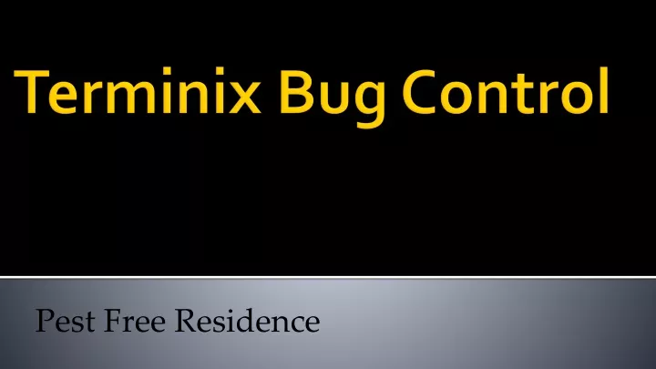 terminix bug control