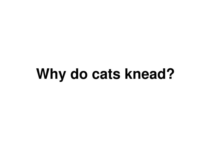 why do cats knead