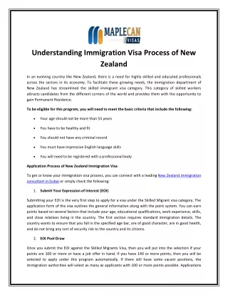 understanding immigration visa process