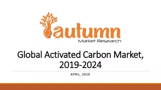 global activated carbon market 2019 2024
