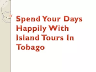 Spend Your Days Happily With Island Tours In Tobago