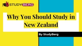 why you should study in new zealand