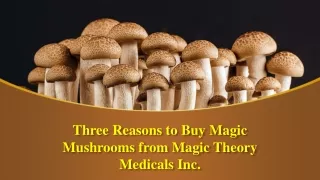 Three Reasons to Buy Magic Mushrooms from Magic Theory Medicals Inc.