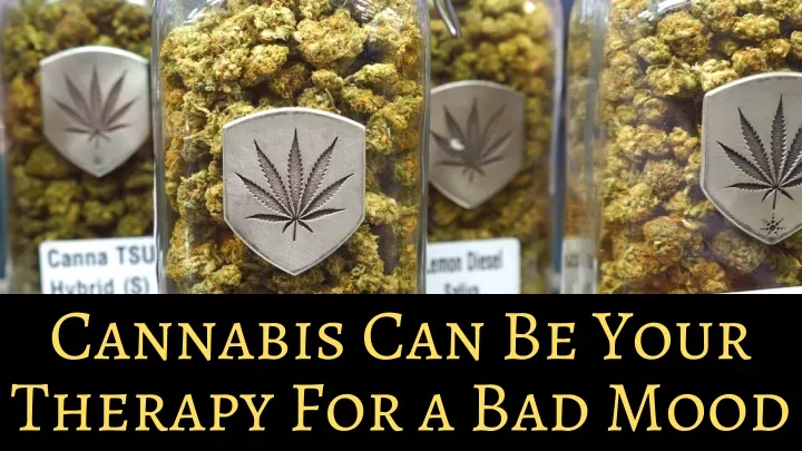 cannabis can be your therapy for a bad mood