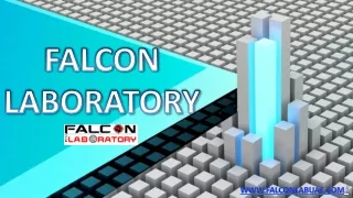 falcon laboratory
