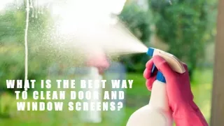 Best Ways To Clean Door and Window Screens