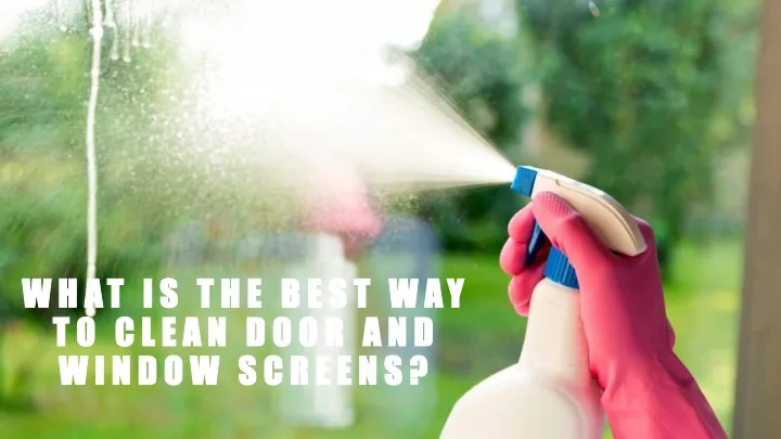 what is the best way to clean door and window screens