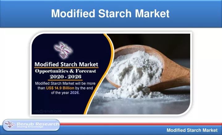 modified starch market