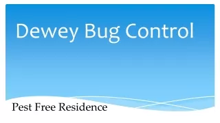 Dewey Bug Control
