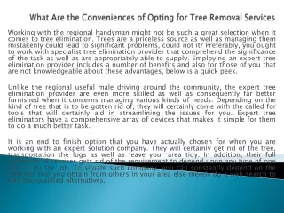 What Are the Conveniences of Opting for Tree