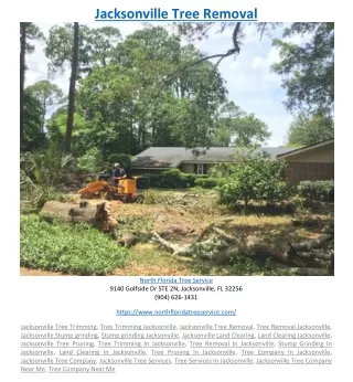 jacksonville tree removal