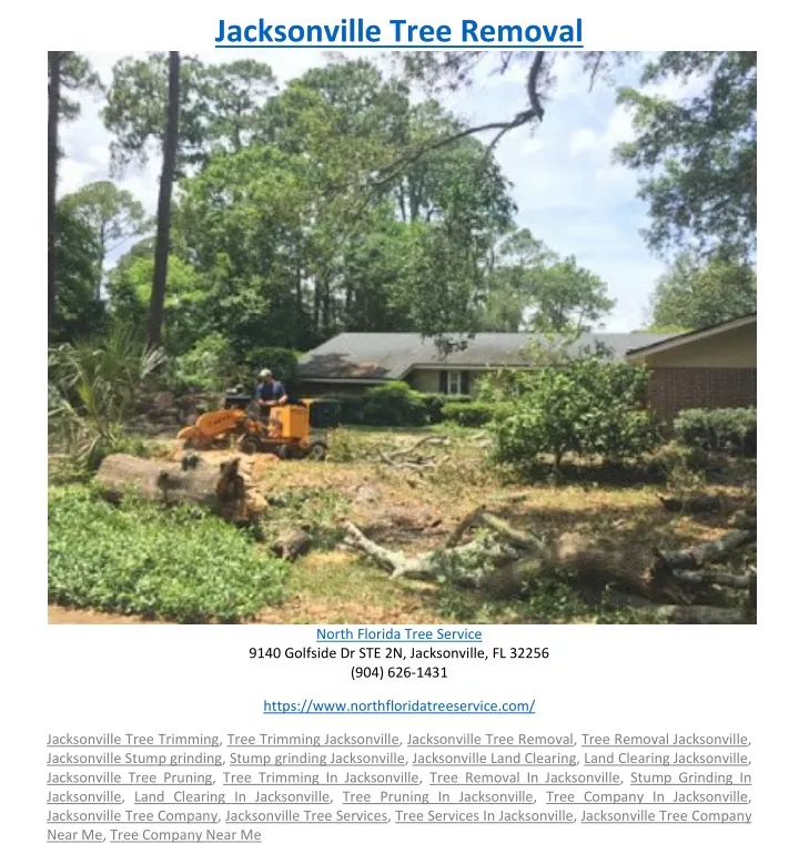 jacksonville tree removal