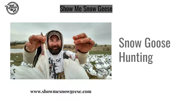 show me snow geese