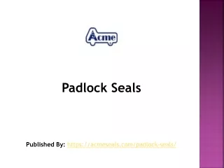 padlock seals