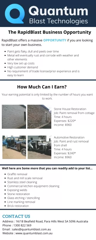 the rapidblast business opportunity
