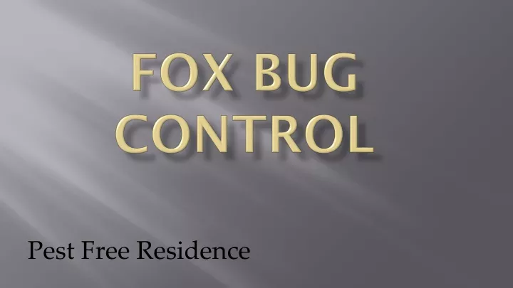 fox bug control