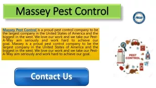 massey pest control massey pest control
