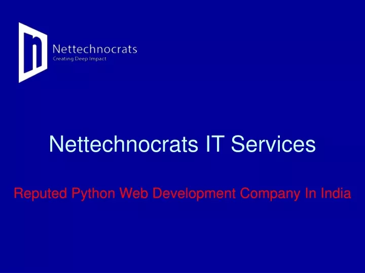 nettechnocrats it services
