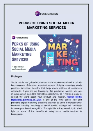 PERKS OF USING SOCIAL MEDIA MARKETING SERVICES