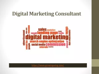 How do I become a Digital Marketing Consultant?