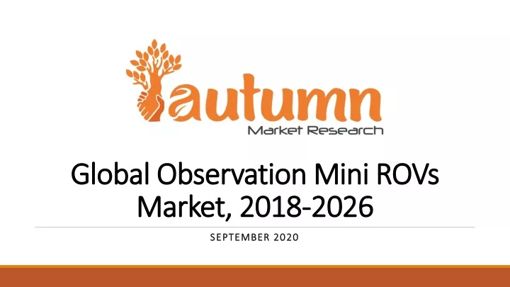 global observation mini rovs market 2018 2026
