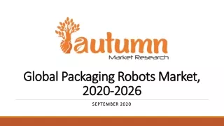 Global Packaging Robots Market, 2020-2026