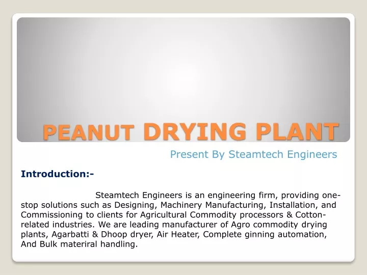 peanut drying plant