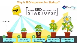 Why is SEO for startups so Important - EvenDigit