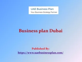 Business plan Dubai