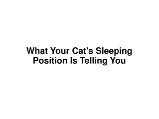 Facts About Cat's Sleeping Position