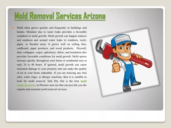 mold removal services arizona