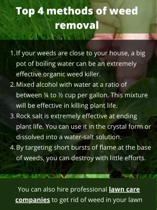 Top 4 methods of weed removal