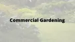Landscape Your Garden in Commercial Design - slide 1