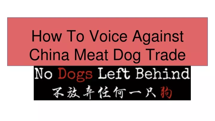 how to voice against china meat dog trade