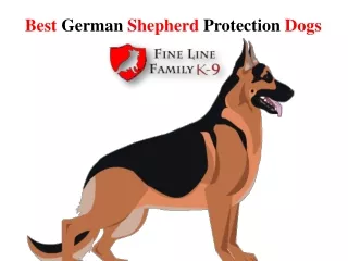 Best German Shepherd Protection Dogs - Fine Line Family K-9