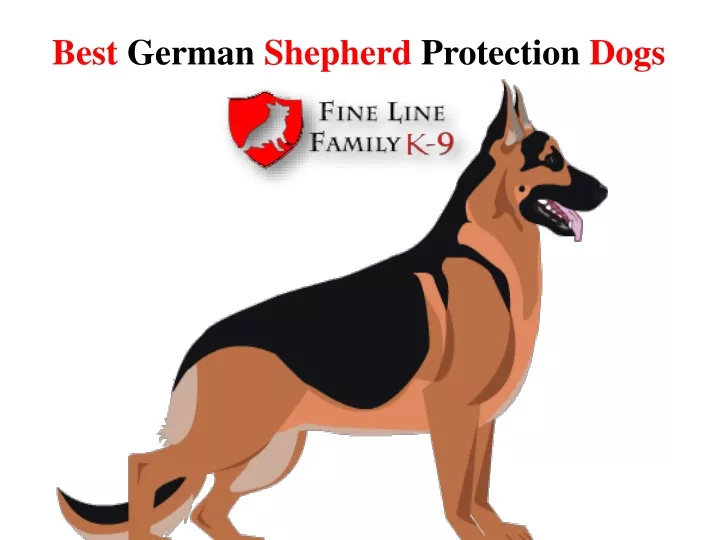 best german shepherd protection dogs