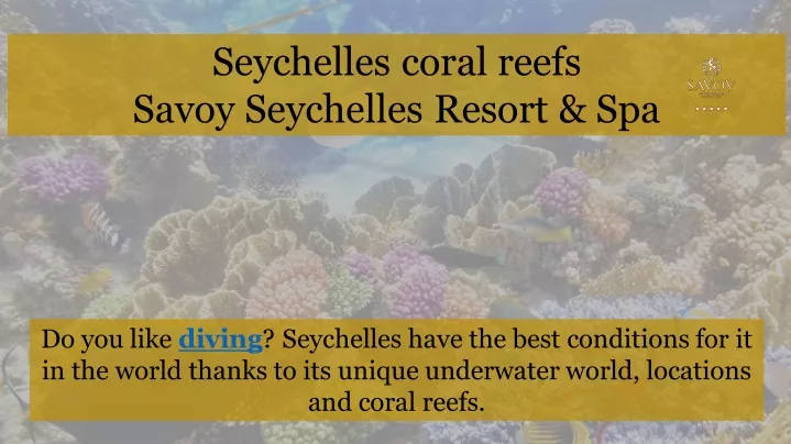 seychelles coral reefs savoy seychelles resort spa